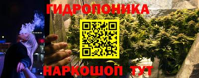 дживик Жуковский