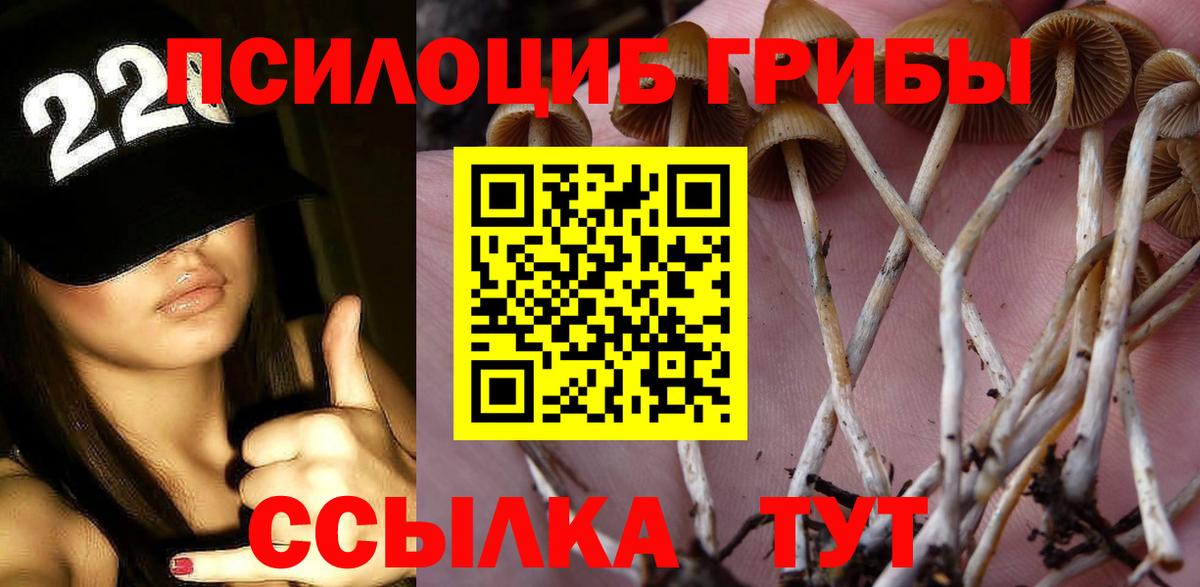 хочу наркоту  Вход с VPN  Минусинск  Галлюциногенные грибы Cubensis  Псилоцибиновые грибы Psilocybe 